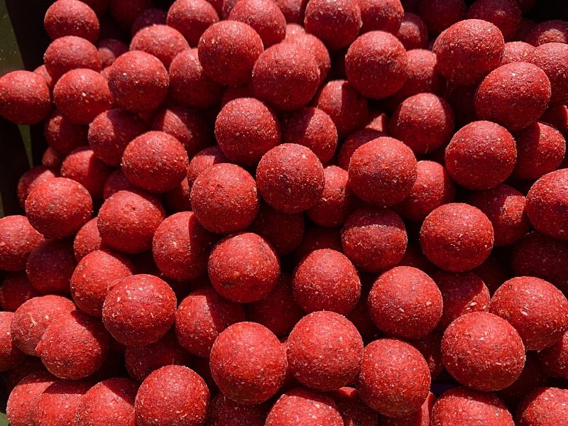 Bugs Baits Boilies Extract Stimul 5kg